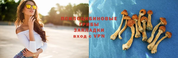 гидропоника Бородино