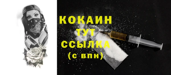 гидропоника Бородино