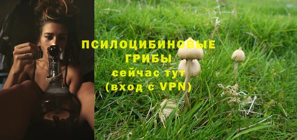 гидропоника Бородино