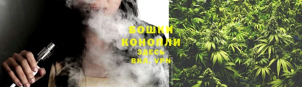 гидропоника Бородино