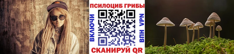 Псилоцибиновые грибы GOLDEN TEACHER купить наркотики сайты ссылка на мегу онион Верхоянск